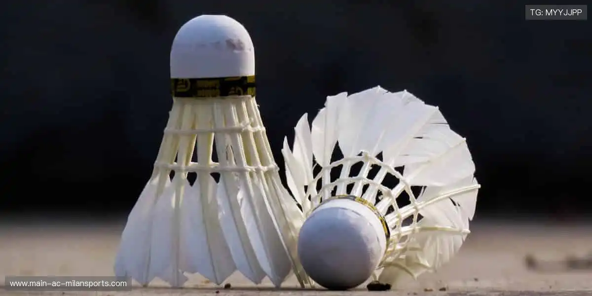 赛事燃爆，每一刻都值得铭记！⚽🏀