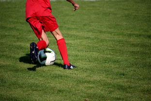 米兰网页版-篮球运动员心理健康维护服务体系研究，篮球心理技能训练计划