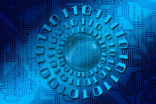 ac米兰球队官网-大数据应用助力训练科学管理，大数据在训练管理中的应用